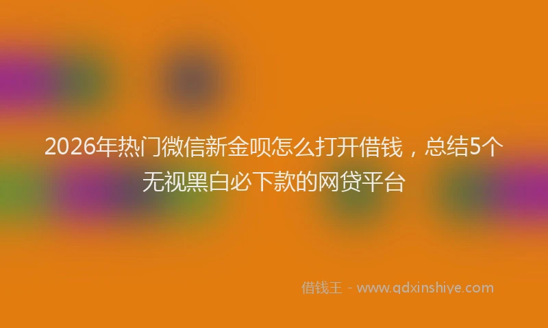2026年热门微信新金呗怎么打开借钱，总结5个无视黑白必下款的网贷平台