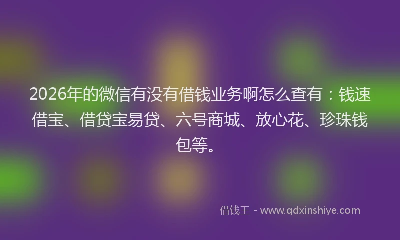 2026年的微信有没有借钱业务啊怎么查有：钱速借宝、借贷宝易贷、六号商城、放心花、珍珠钱包等。