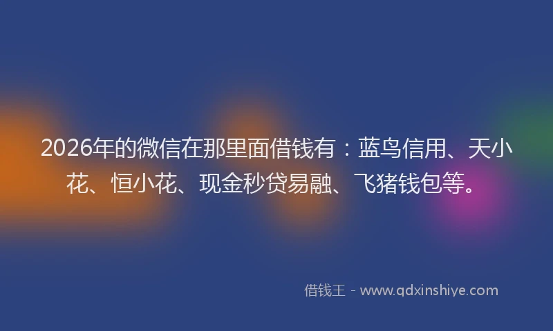2026年的微信在那里面借钱有：蓝鸟信用、天小花、恒小花、现金秒贷易融、飞猪钱包等。