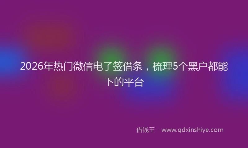 2026年热门微信电子签借条，梳理5个黑户都能下的平台