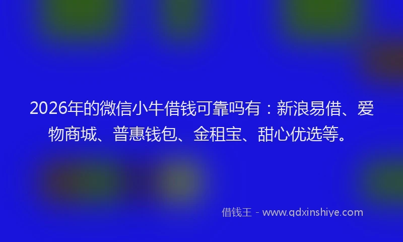 2026年的微信小牛借钱可靠吗有:新浪易借、爱物商城、普惠钱包、金租宝、甜心优选等。