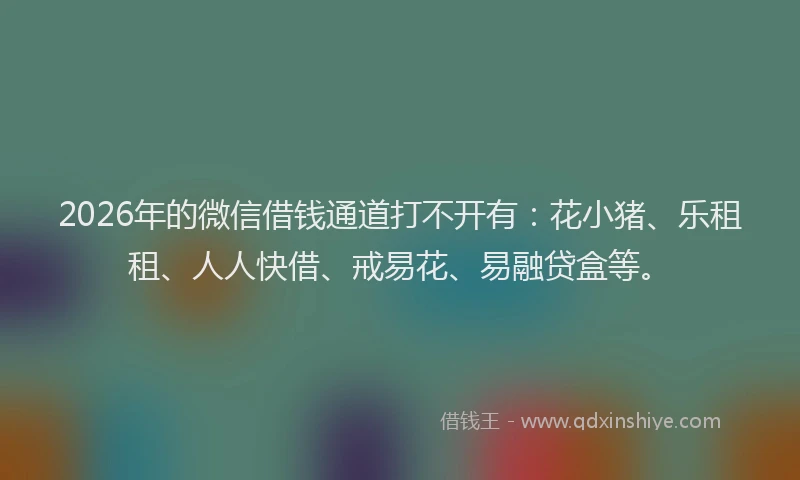 2026年的微信借钱通道打不开有:花小猪、乐租租、人人快借、戒易花、易融贷盒等。