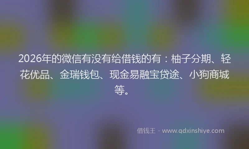 2026年的微信有没有给借钱的有：柚子分期、轻花优品、金瑞钱包、现金易融宝贷途、小狗商城等。