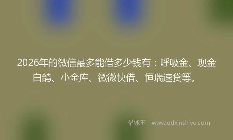 2026年的微信最多能借多少钱有：呼吸金、现金白鸽、小金库、微微快借、恒瑞速贷等。