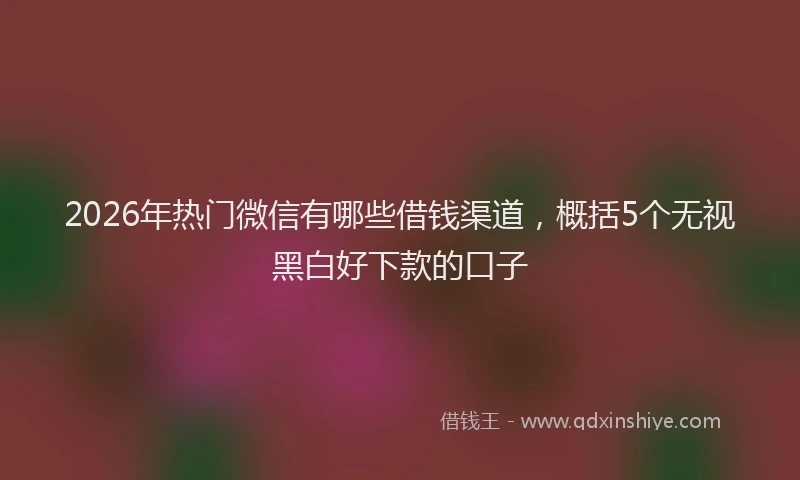 2026年热门微信有哪些借钱渠道，概括5个无视黑白好下款的口子