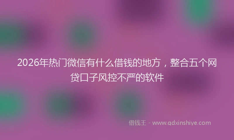 2026年热门微信有什么借钱的地方，整合五个网贷口子风控不严的软件