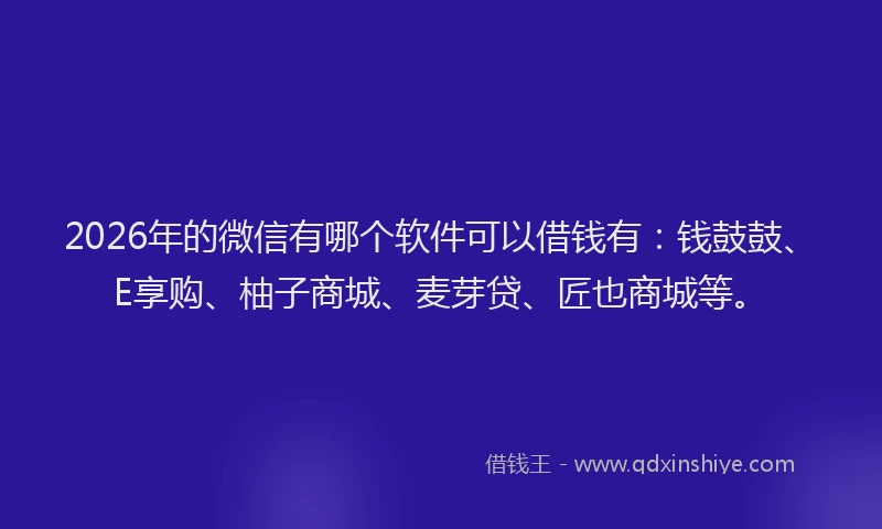 2026年的微信有哪个软件可以借钱有：钱鼓鼓、E享购、柚子商城、麦芽贷、匠也商城等。