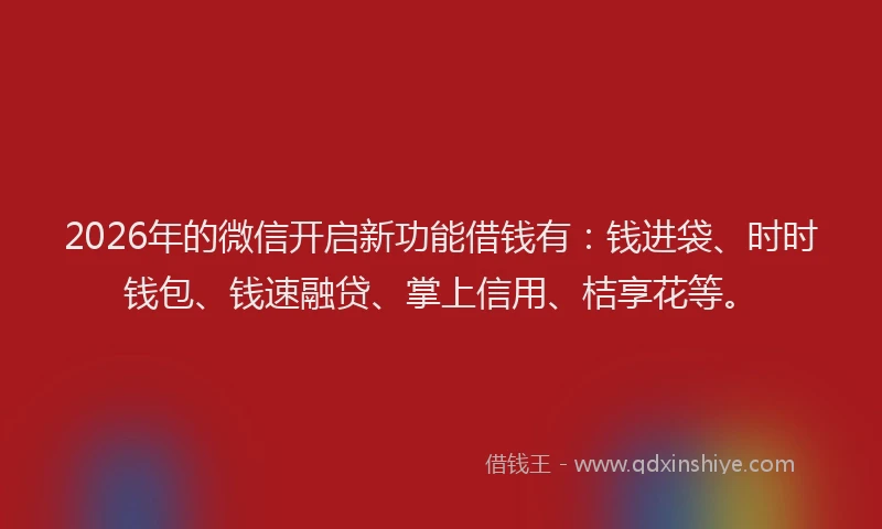 2026年的微信开启新功能借钱有：钱进袋、时时钱包、钱速融贷、掌上信用、桔享花等。
