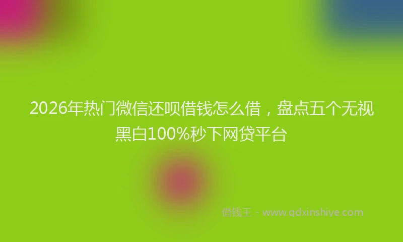 2026年热门微信还呗借钱怎么借，盘点五个无视黑白100%秒下网贷平台