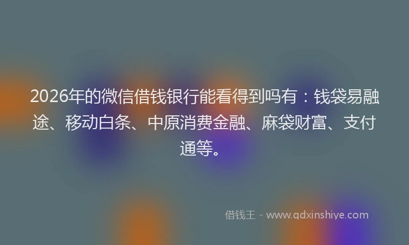 2026年的微信借钱银行能看得到吗有：钱袋易融途、移动白条、中原消费金融、麻袋财富、支付通等。