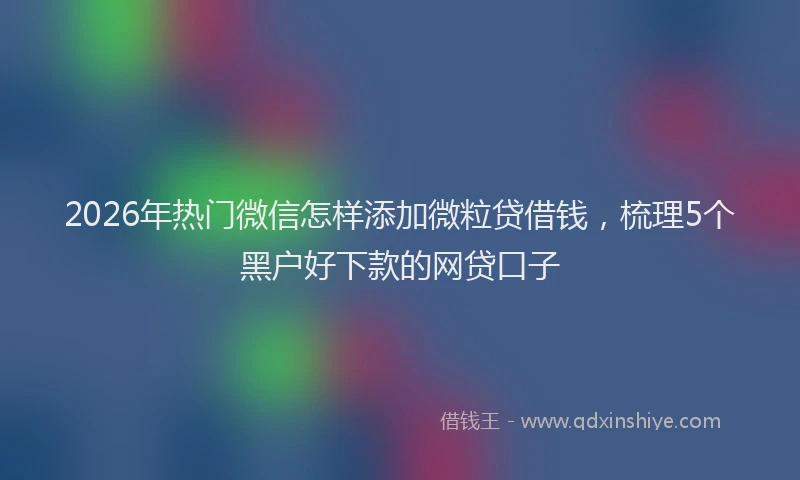 2026年热门微信怎样添加微粒贷借钱，梳理5个黑户好下款的网贷口子