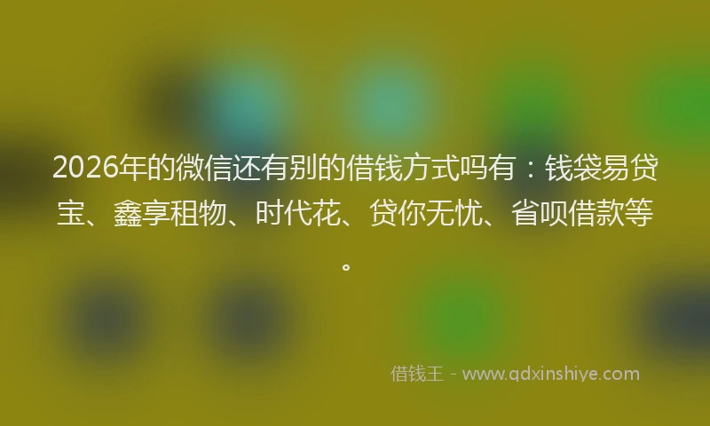2026年的微信还有别的借钱方式吗有：钱袋易贷宝、鑫享租物、时代花、贷你无忧、省呗借款等。