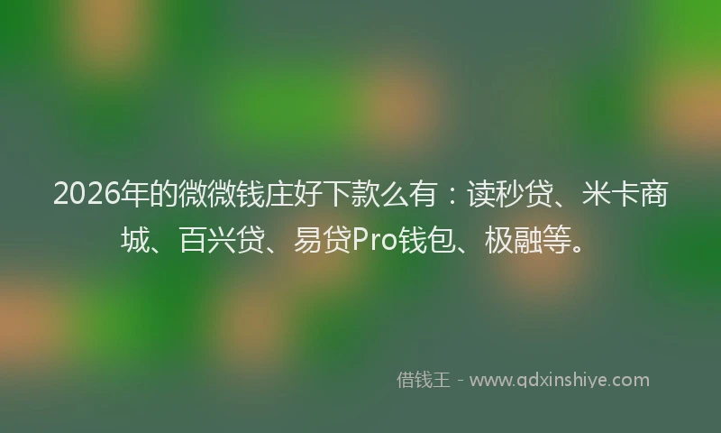 2026年的微微钱庄好下款么有：读秒贷、米卡商城、百兴贷、易贷Pro钱包、极融等。