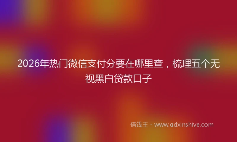 2026年热门微信支付分要在哪里查，梳理五个无视黑白贷款口子
