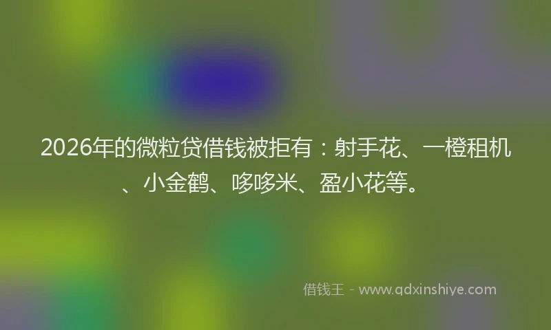2026年的微粒贷借钱被拒有：射手花、一橙租机、小金鹤、哆哆米、盈小花等。