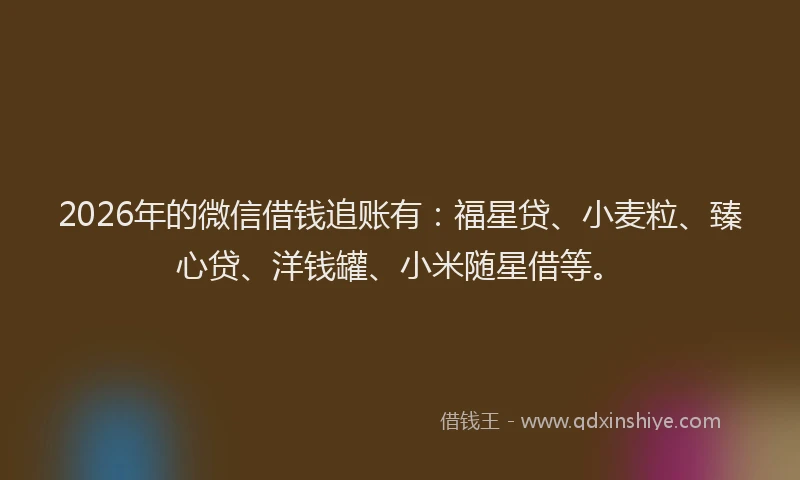 2026年的微信借钱追账有：福星贷、小麦粒、臻心贷、洋钱罐、小米随星借等。