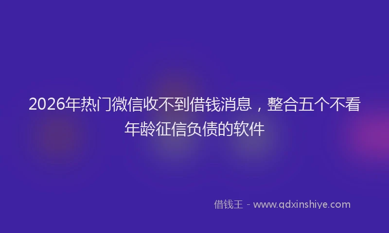2026年热门微信收不到借钱消息，整合五个不看年龄征信负债的软件
