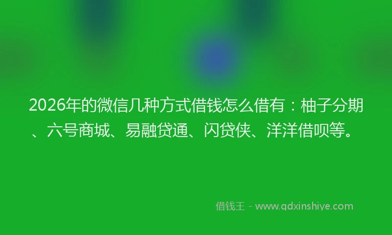 2026年的微信几种方式借钱怎么借有：柚子分期、六号商城、易融贷通、闪贷侠、洋洋借呗等。