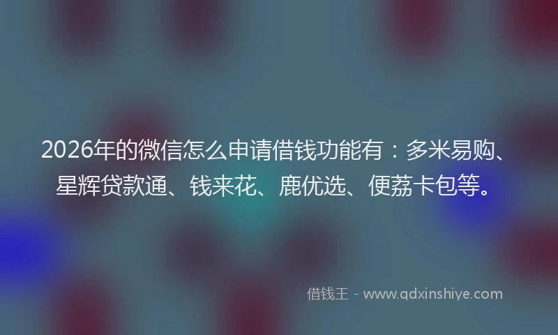 2026年的微信怎么申请借钱功能有：多米易购、星辉贷款通、钱来花、鹿优选、便荔卡包等。