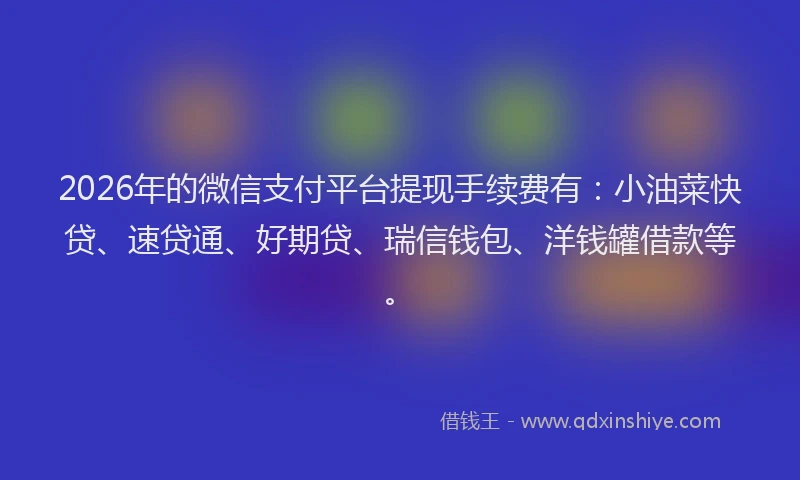 2026年的微信支付平台提现手续费有：小油菜快贷、速贷通、好期贷、瑞信钱包、洋钱罐借款等。