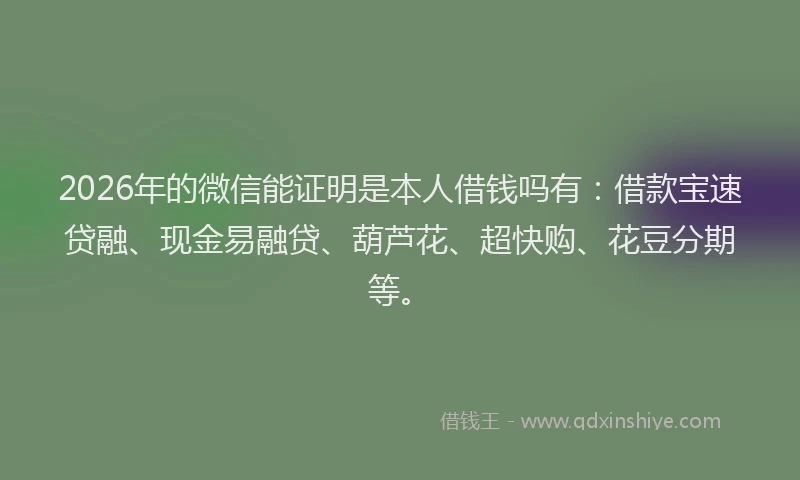 2026年的微信能证明是本人借钱吗有：借款宝速贷融、现金易融贷、葫芦花、超快购、花豆分期等。