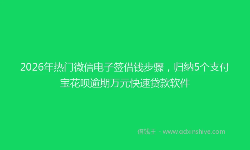 2026年热门微信电子签借钱步骤,归纳5个支付宝花呗逾期万元快速贷款软件