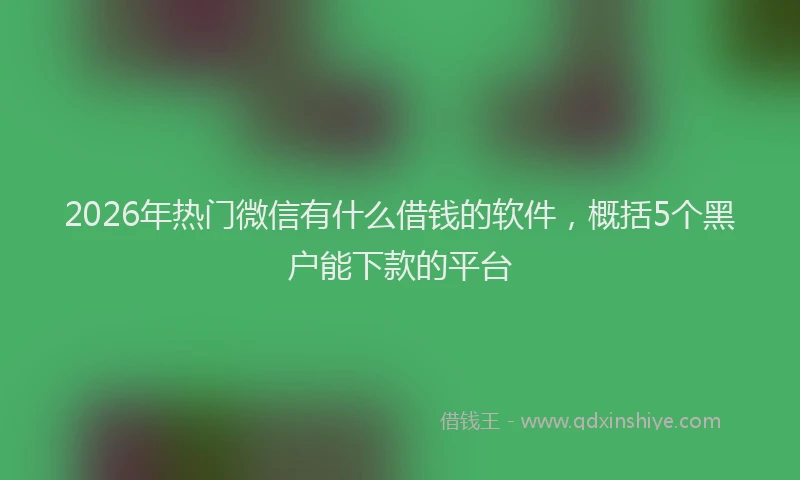 2026年热门微信有什么借钱的软件，概括5个黑户能下款的平台