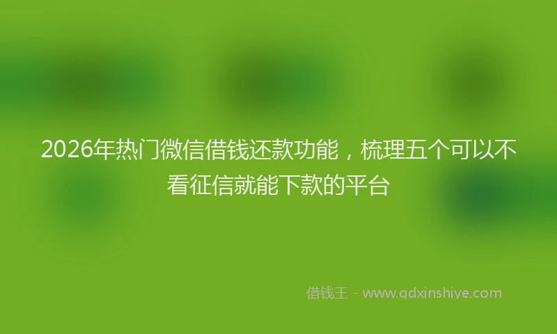 2026年热门微信借钱还款功能，梳理五个可以不看征信就能下款的平台