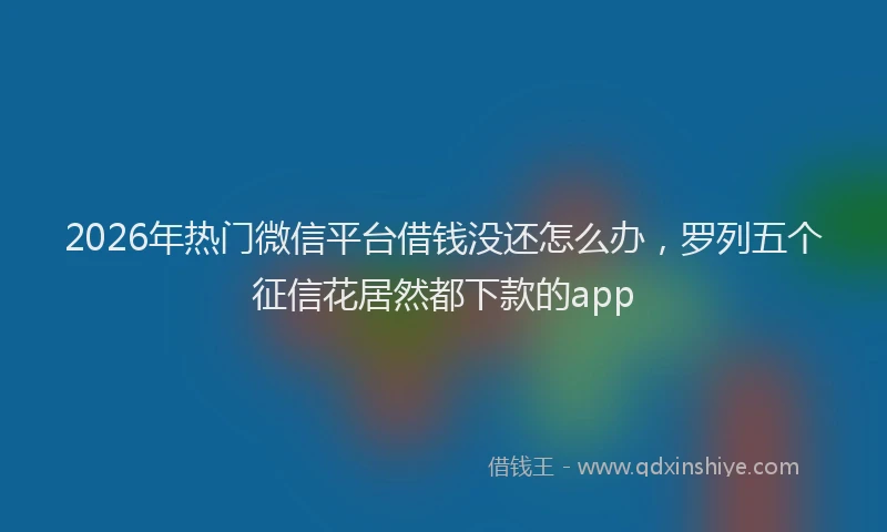 2026年热门微信平台借钱没还怎么办，罗列五个征信花居然都下款的app
