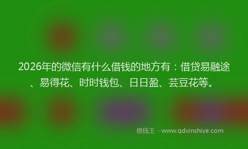 2026年的微信有什么借钱的地方有：借贷易融途、易得花、时时钱包、日日盈、芸豆花等。