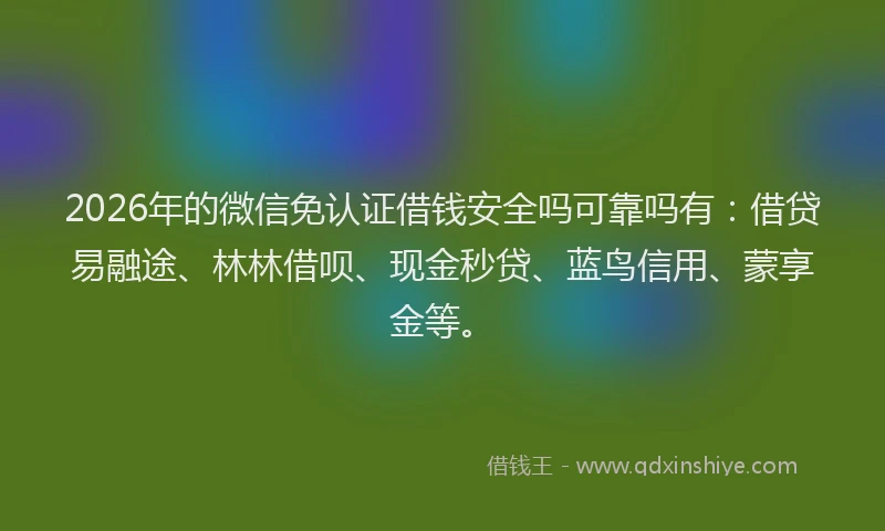 2026年的微信免认证借钱安全吗可靠吗有：借贷易融途、林林借呗、现金秒贷、蓝鸟信用、蒙享金等。