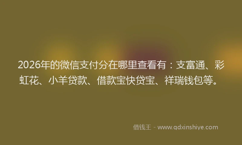 2026年的微信支付分在哪里查看有:支富通、彩虹花、小羊贷款、借款宝快贷宝、祥瑞钱包等。
