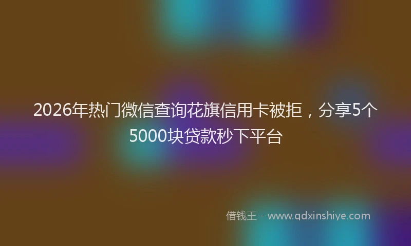 2026年热门微信查询花旗信用卡被拒,分享5个5000块贷款秒下平台