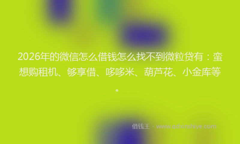 2026年的微信怎么借钱怎么找不到微粒贷有：蛮想购租机、够享借、哆哆米、葫芦花、小金库等。