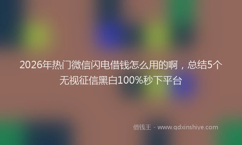 2026年热门微信闪电借钱怎么用的啊，总结5个无视征信黑白100%秒下平台