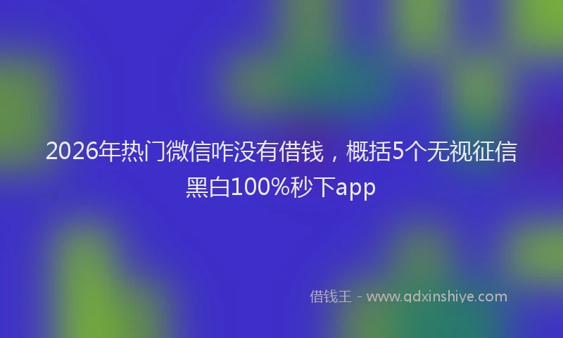 2026年热门微信咋没有借钱，概括5个无视征信黑白100%秒下app