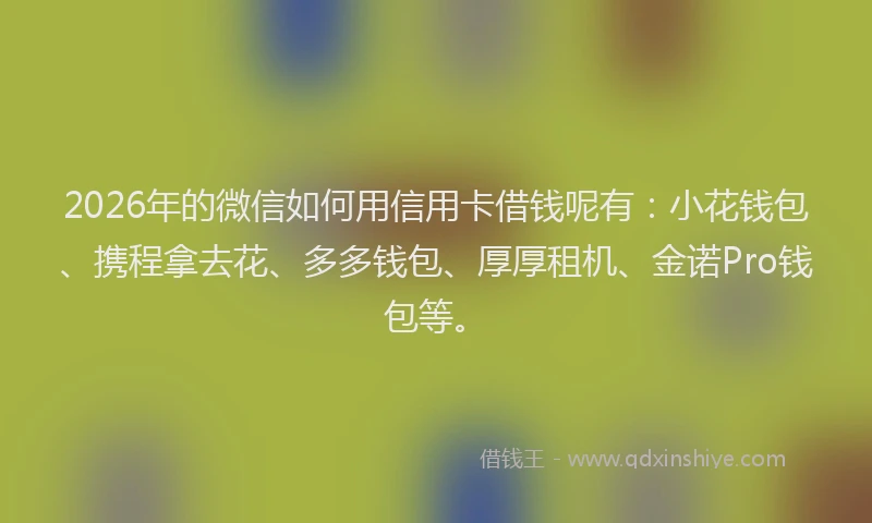 2026年的微信如何用信用卡借钱呢有:小花钱包、携程拿去花、多多钱包、厚厚租机、金诺Pro钱包等。