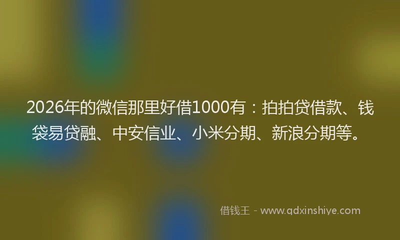 2026年的微信那里好借1000有：拍拍贷借款、钱袋易贷融、中安信业、小米分期、新浪分期等。