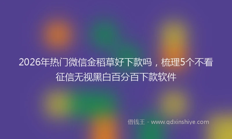 2026年热门微信金稻草好下款吗，梳理5个不看征信无视黑白百分百下款软件