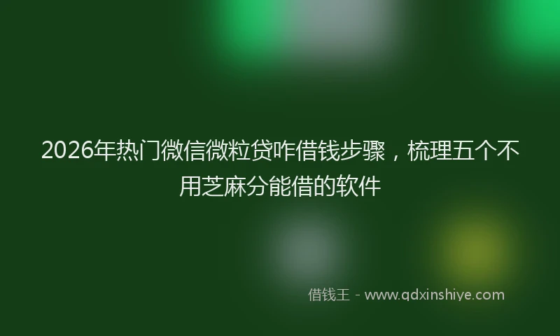 2026年热门微信微粒贷咋借钱步骤，梳理五个不用芝麻分能借的软件