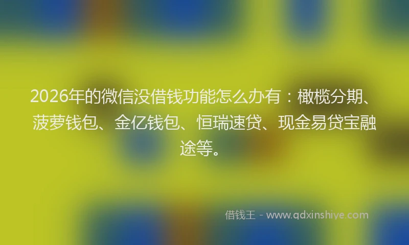 2026年的微信没借钱功能怎么办有：橄榄分期、菠萝钱包、金亿钱包、恒瑞速贷、现金易贷宝融途等。