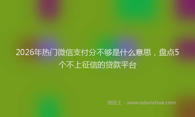 2026年热门微信支付分不够是什么意思，盘点5个不上征信的贷款平台