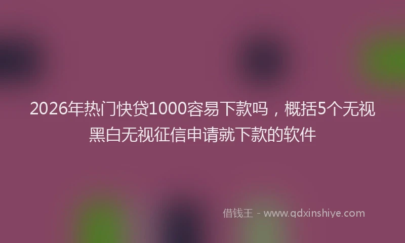 2026年热门快贷1000容易下款吗，概括5个无视黑白无视征信申请就下款的软件