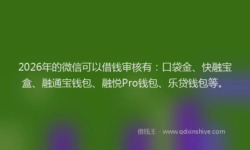 2026年的微信可以借钱审核有：口袋金、快融宝盒、融通宝钱包、融悦Pro钱包、乐贷钱包等。