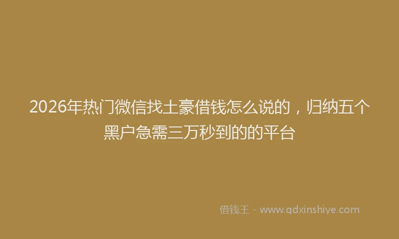 2026年热门微信找土豪借钱怎么说的，归纳五个黑户急需三万秒到的的平台