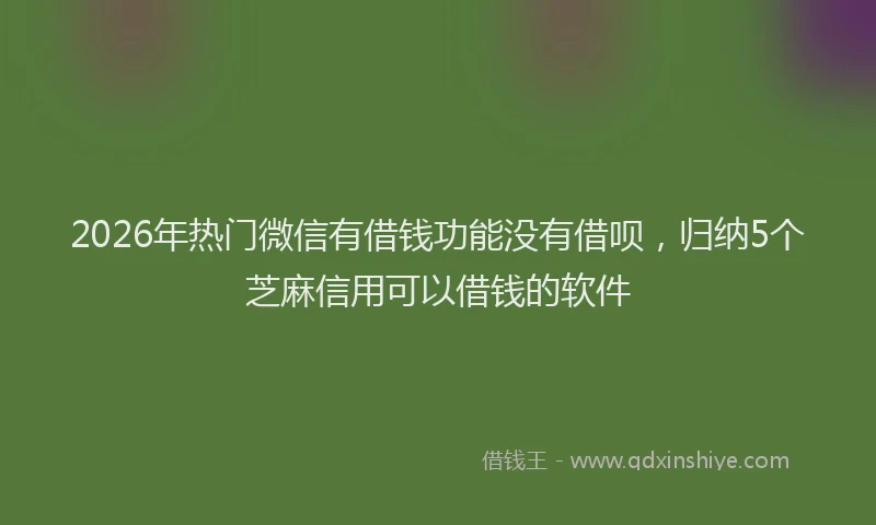 2026年热门微信有借钱功能没有借呗，归纳5个芝麻信用可以借钱的软件