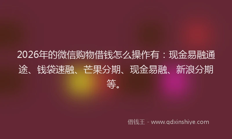 2026年的微信购物借钱怎么操作有：现金易融通途、钱袋速融、芒果分期、现金易融、新浪分期等。