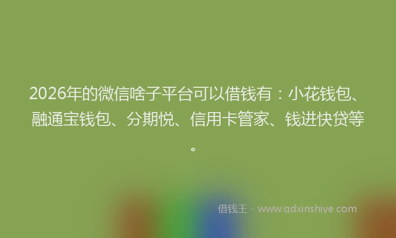 2026年的微信啥子平台可以借钱有：小花钱包、融通宝钱包、分期悦、信用卡管家、钱进快贷等。