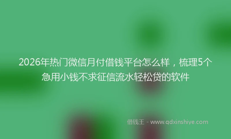 2026年热门微信月付借钱平台怎么样，梳理5个急用小钱不求征信流水轻松贷的软件