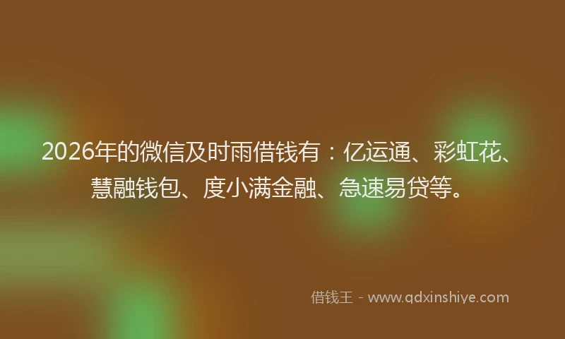 2026年的微信及时雨借钱有：亿运通、彩虹花、慧融钱包、度小满金融、急速易贷等。